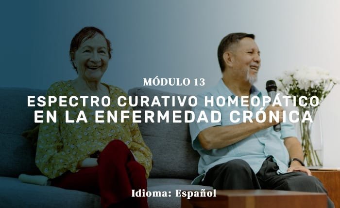 MÓDULO 13 ESPAÑOL